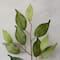 12 Pack: Ficus Spray Floral Essentials by Ashland&#xAE;